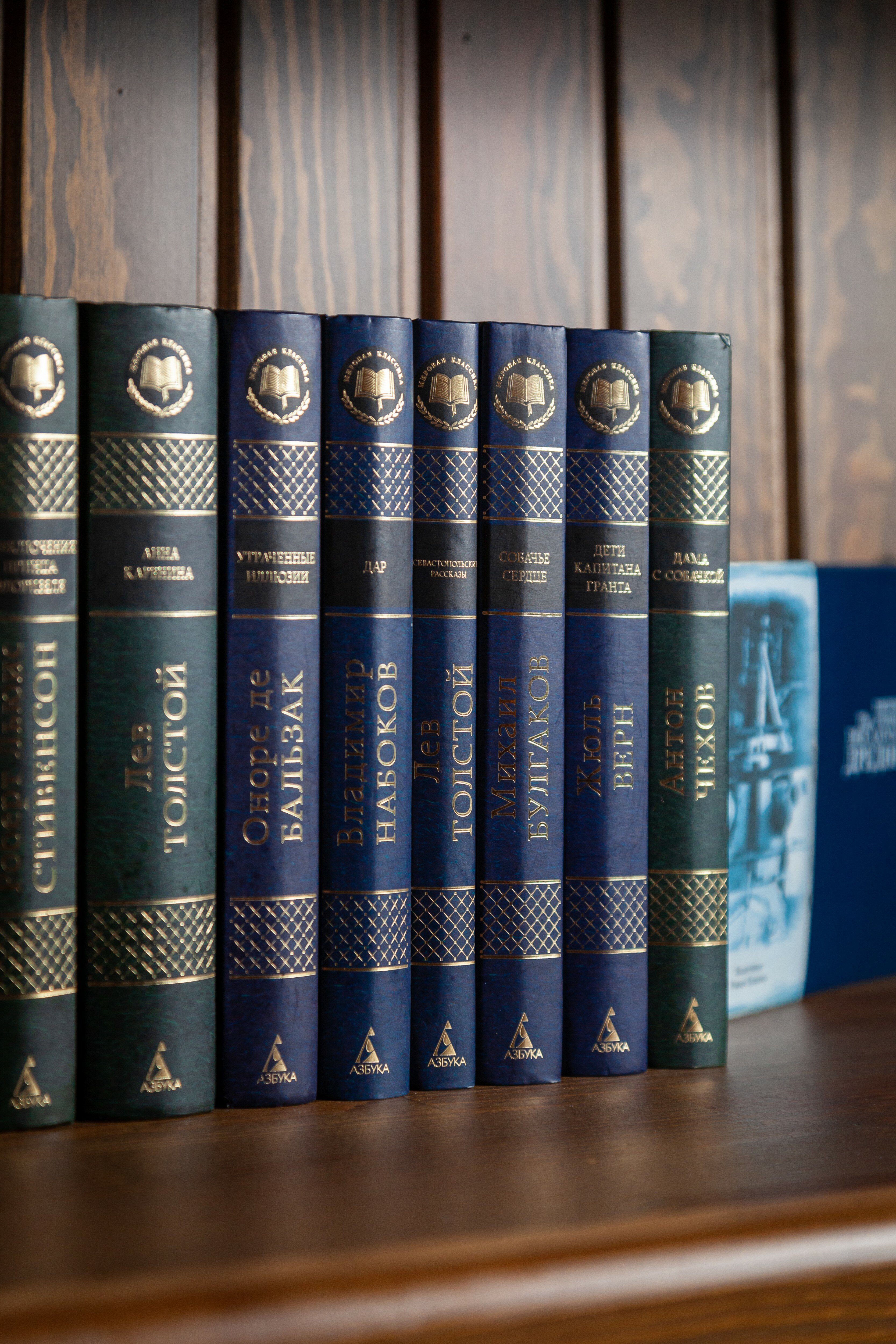 Фото Леонтоподиум