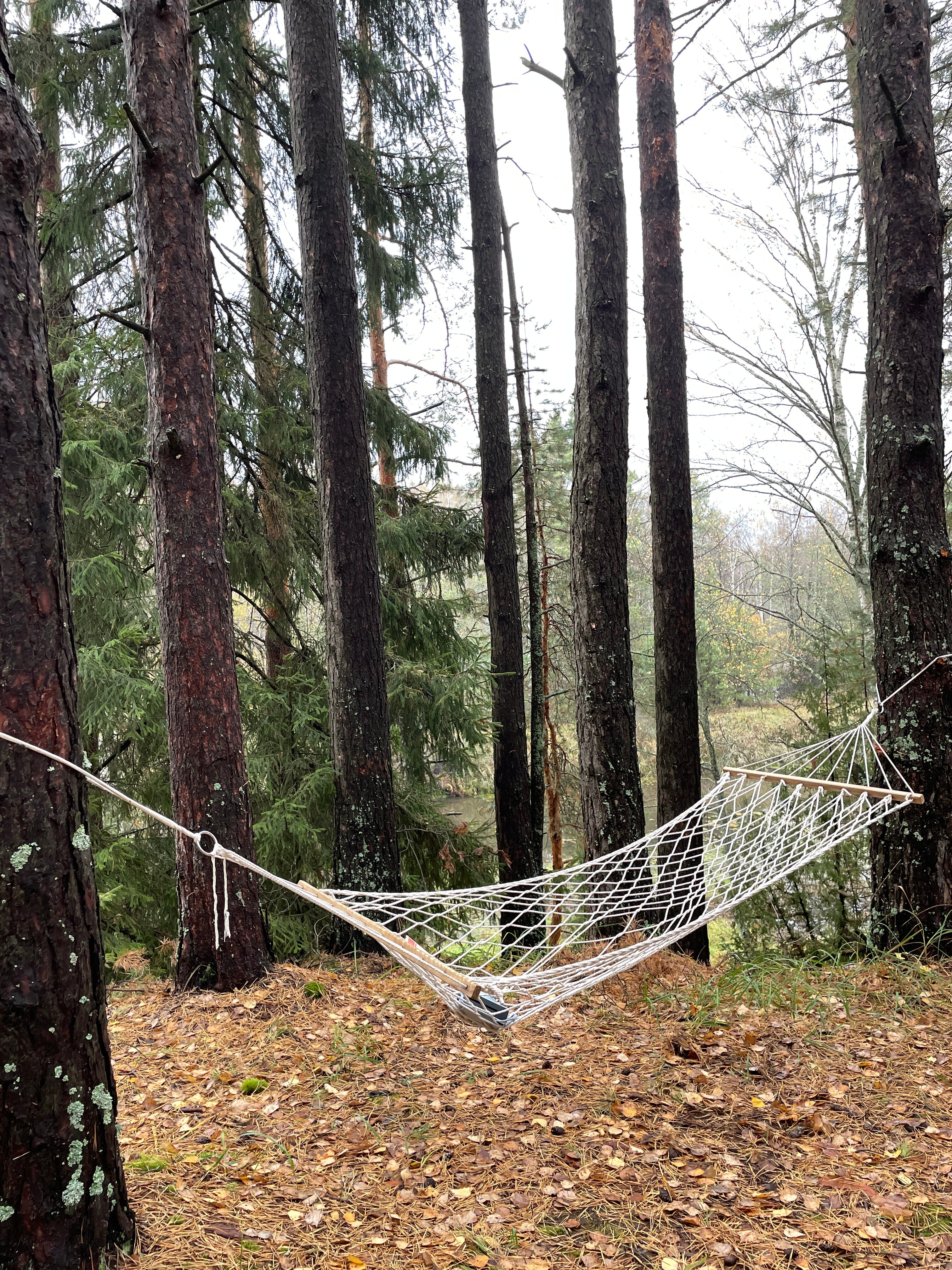 Фото Эко-деревня Сивцево