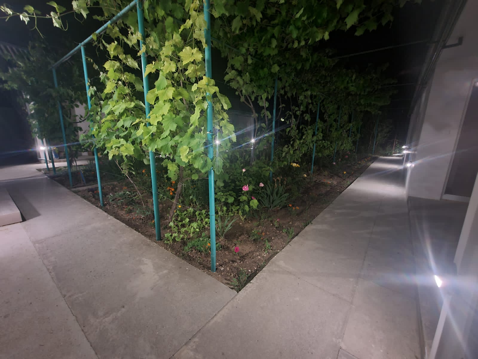 Фото Южный Берег