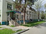 Denise (Toktogul Street, 220), piscina