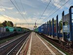 Dulyovo Station (Kommunisticheskaya Street, 55), train station
