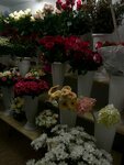 E&h Flowers (ulitsa Studenetskaya Naberezhnaya, 57), flower shop