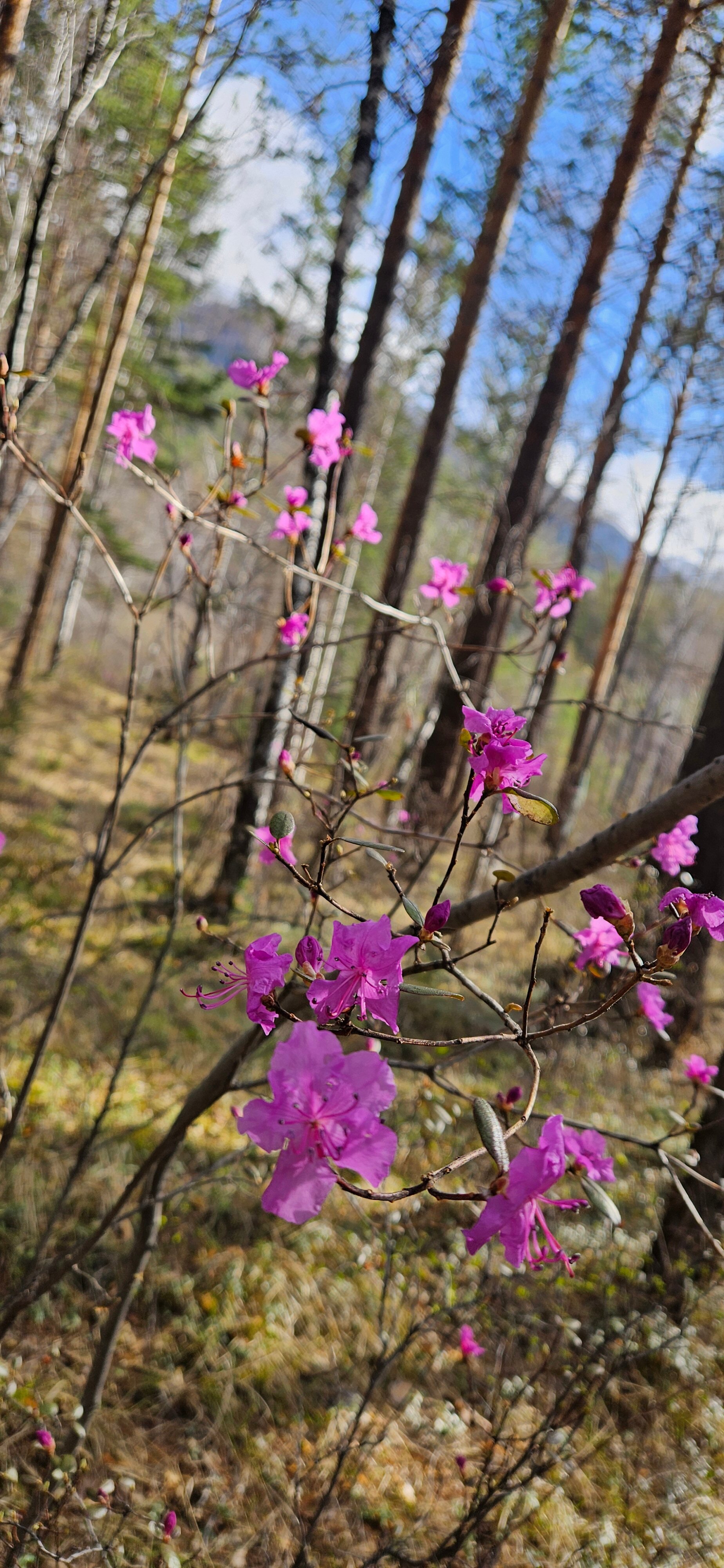 Фото Место силы