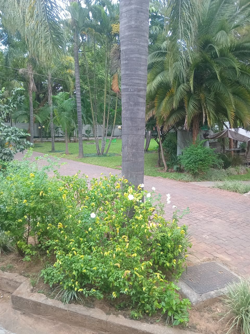 Фото Acamms Lodge Roma