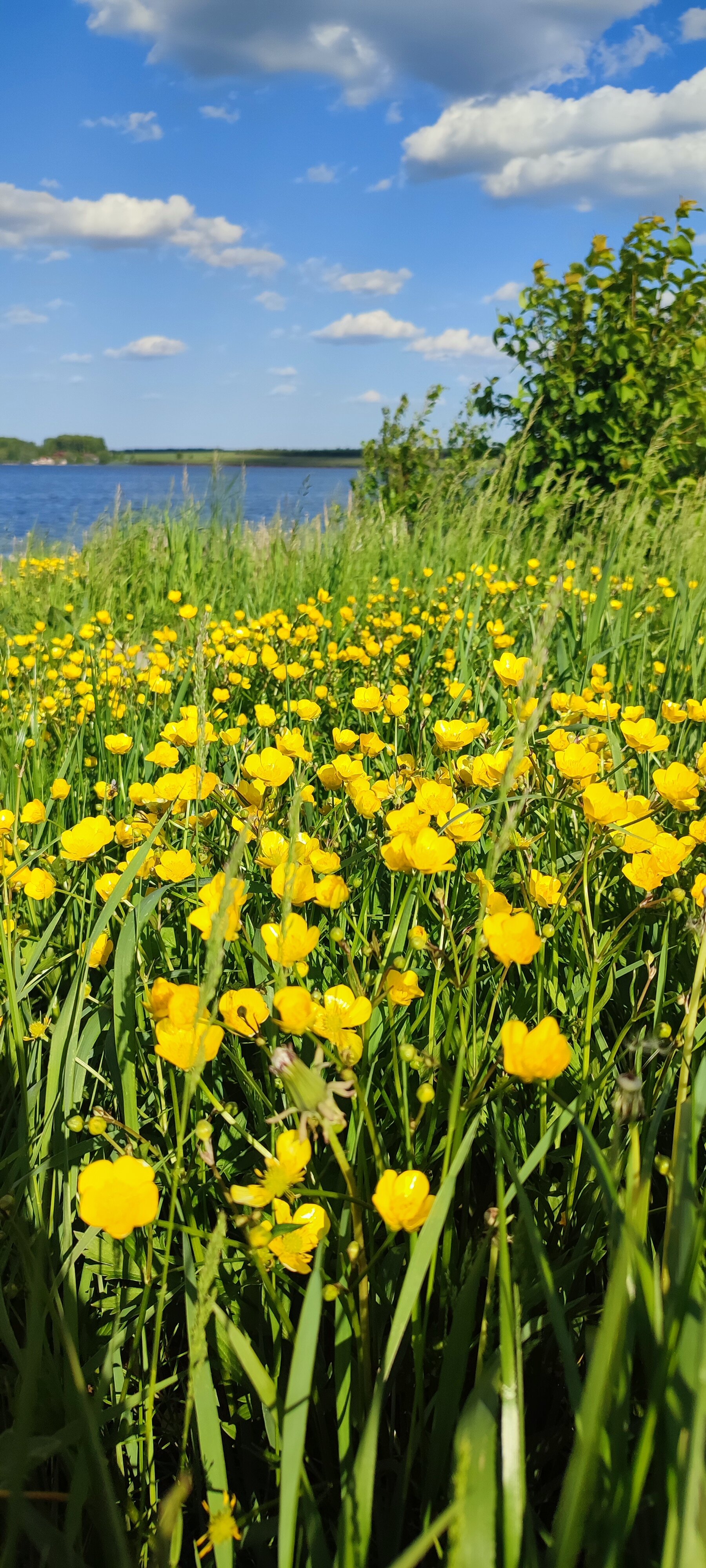 Фото Парк-отель Новая земля