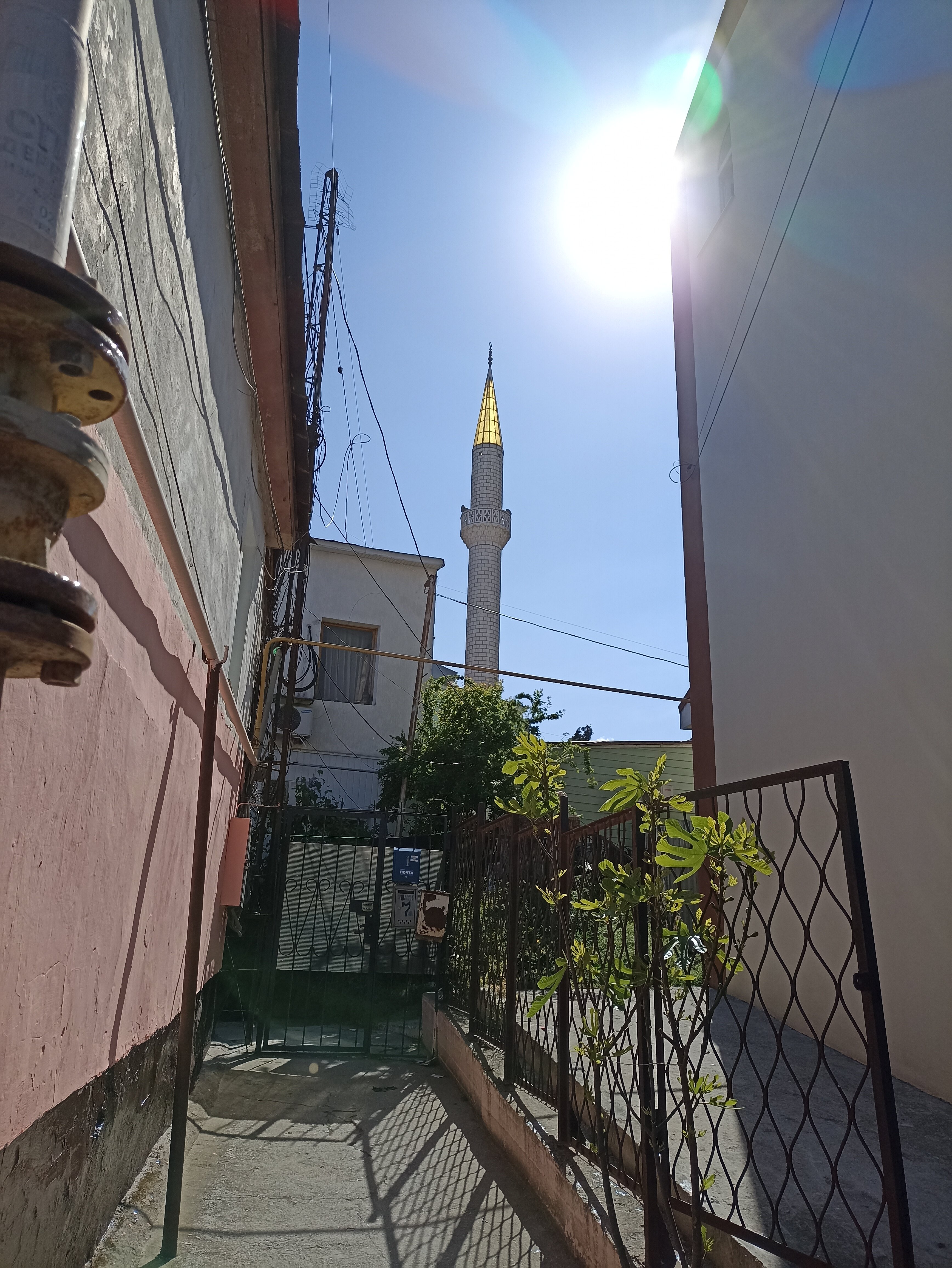 Фото Алушта на ладони