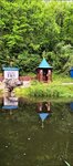 Святой источник Всемилостивого Спаса и Пресвятой Богородицы (Oryol Region, Novosilskiy rayon, Petushenskoye selskoye poseleniye), spring, stream
