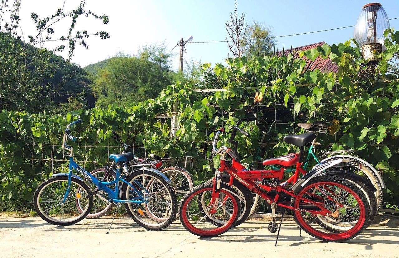 Фото Forest Club