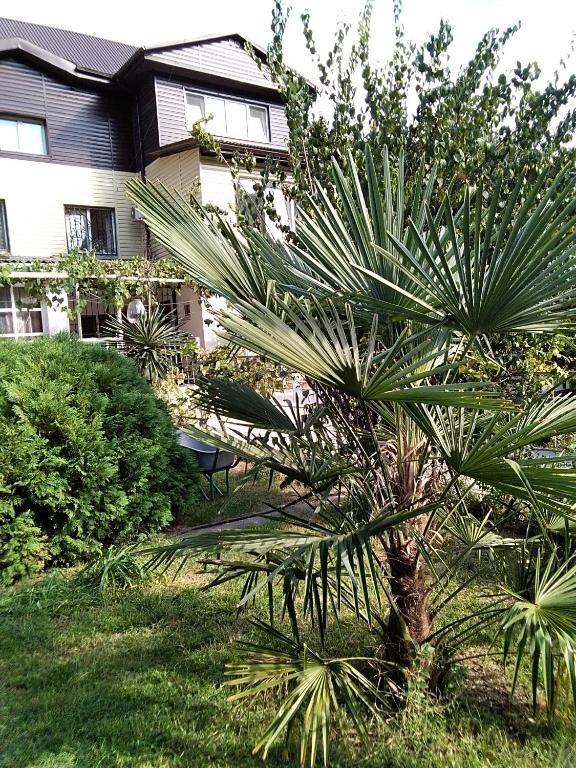 Фото Forest Club