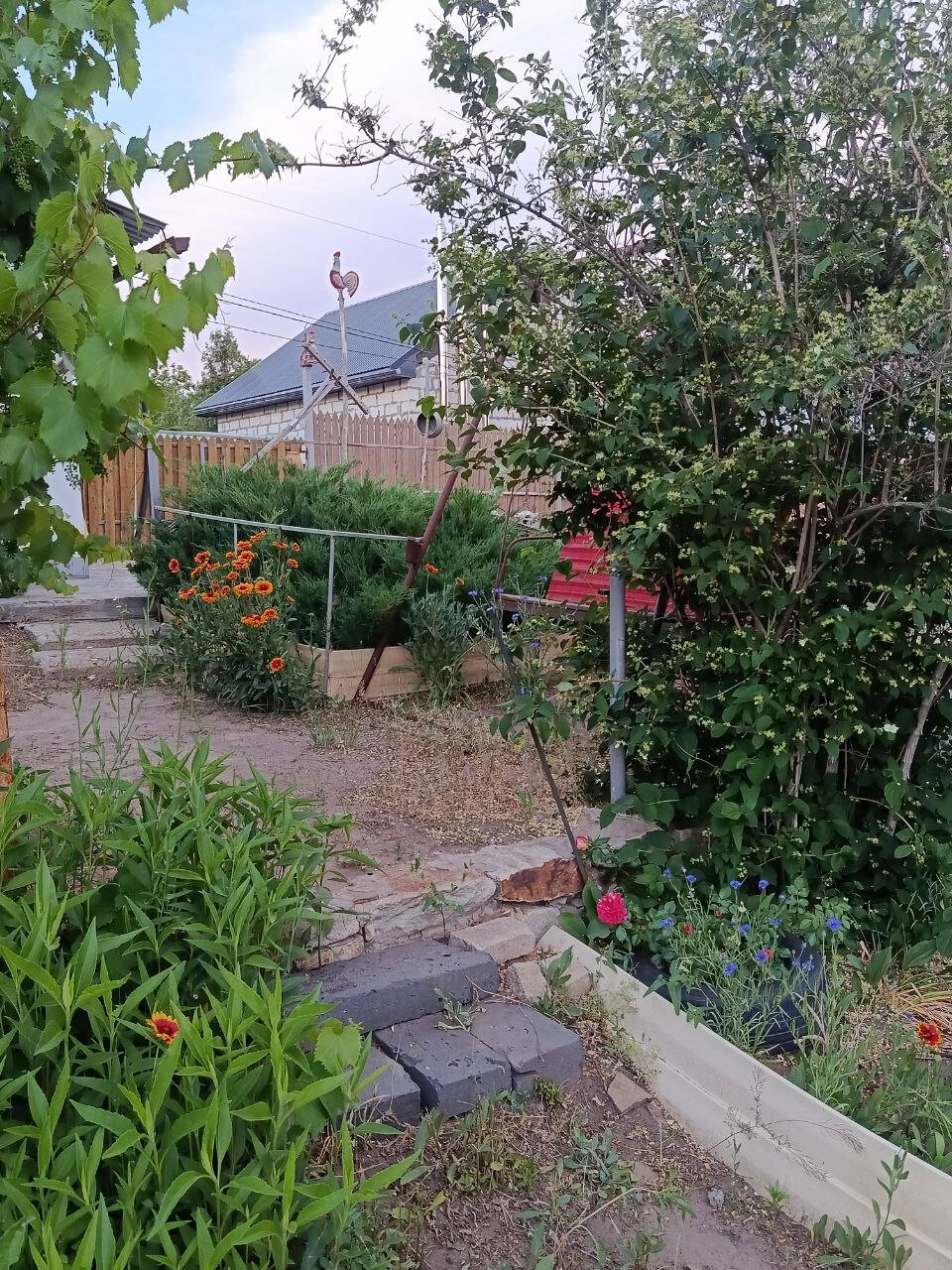 Фото Доброслав