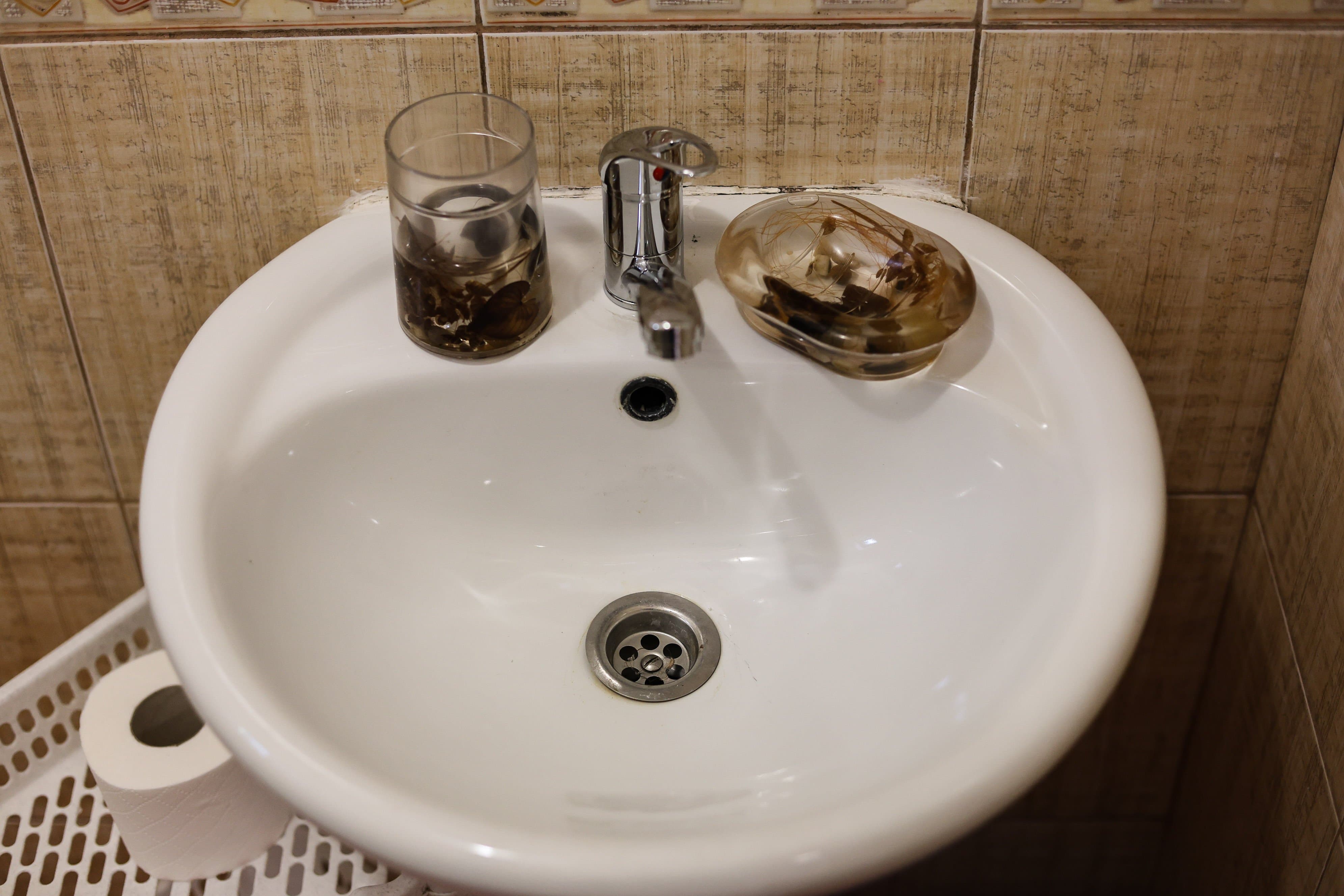 Фото Южный берег