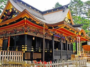 Гостиница Hotel Green Palace