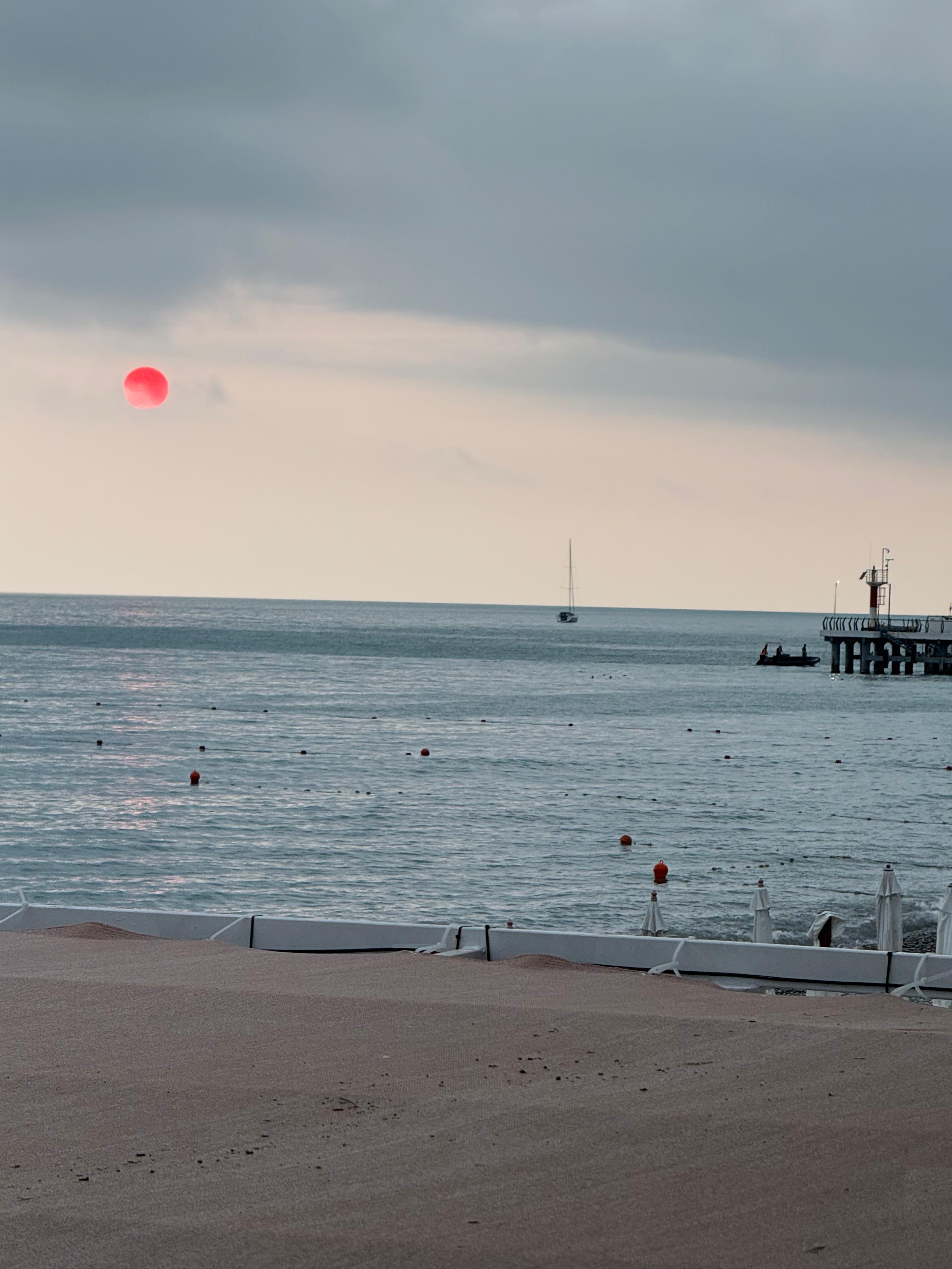 Фото Крылья