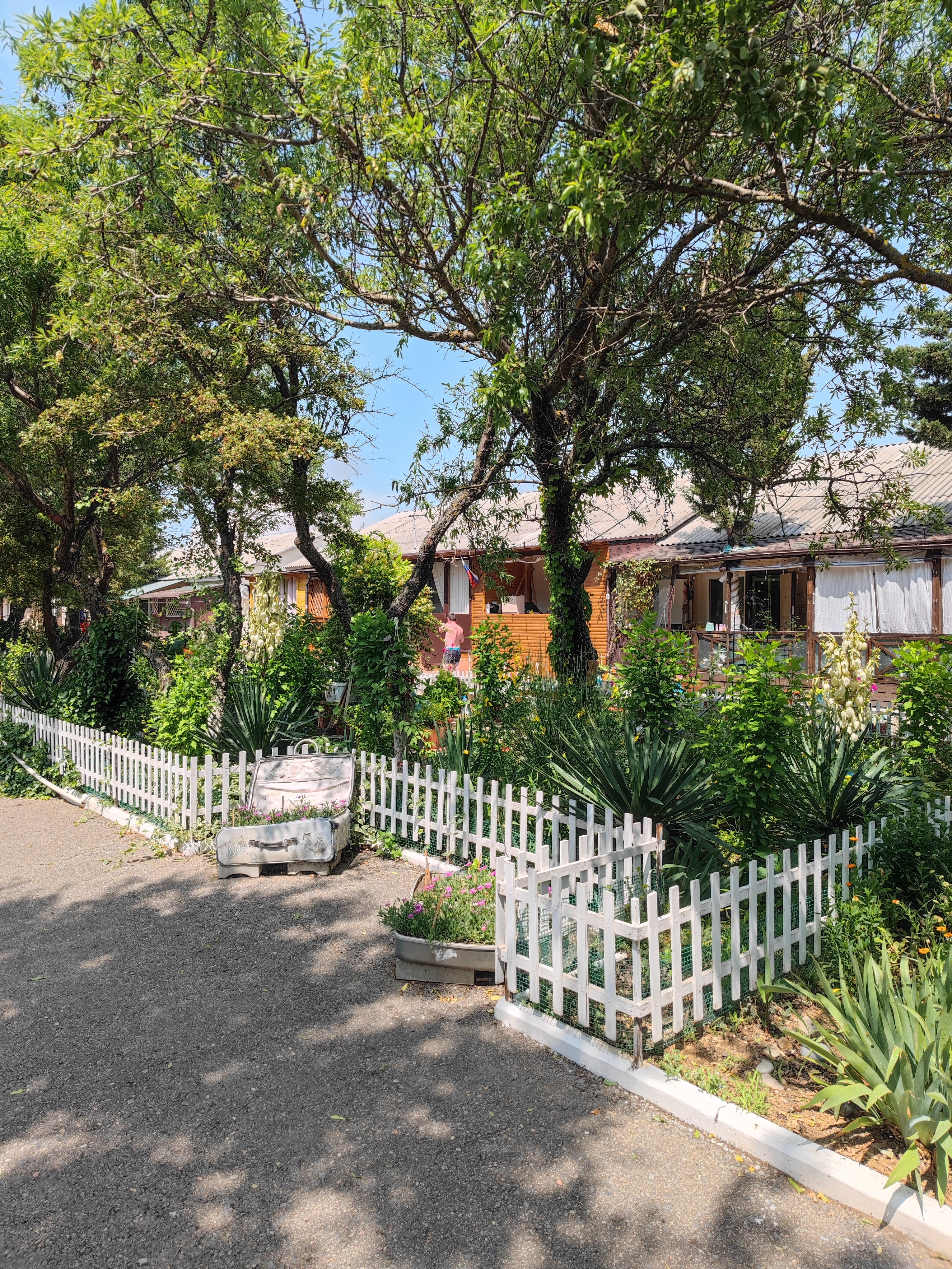 Фото Гнездо-Орловка