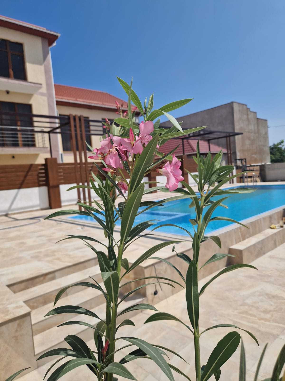 Фото Дамиан