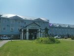 Хогвартс (Ramzay Village, Ozdorovitelnaya ulitsa, 9), summer camp