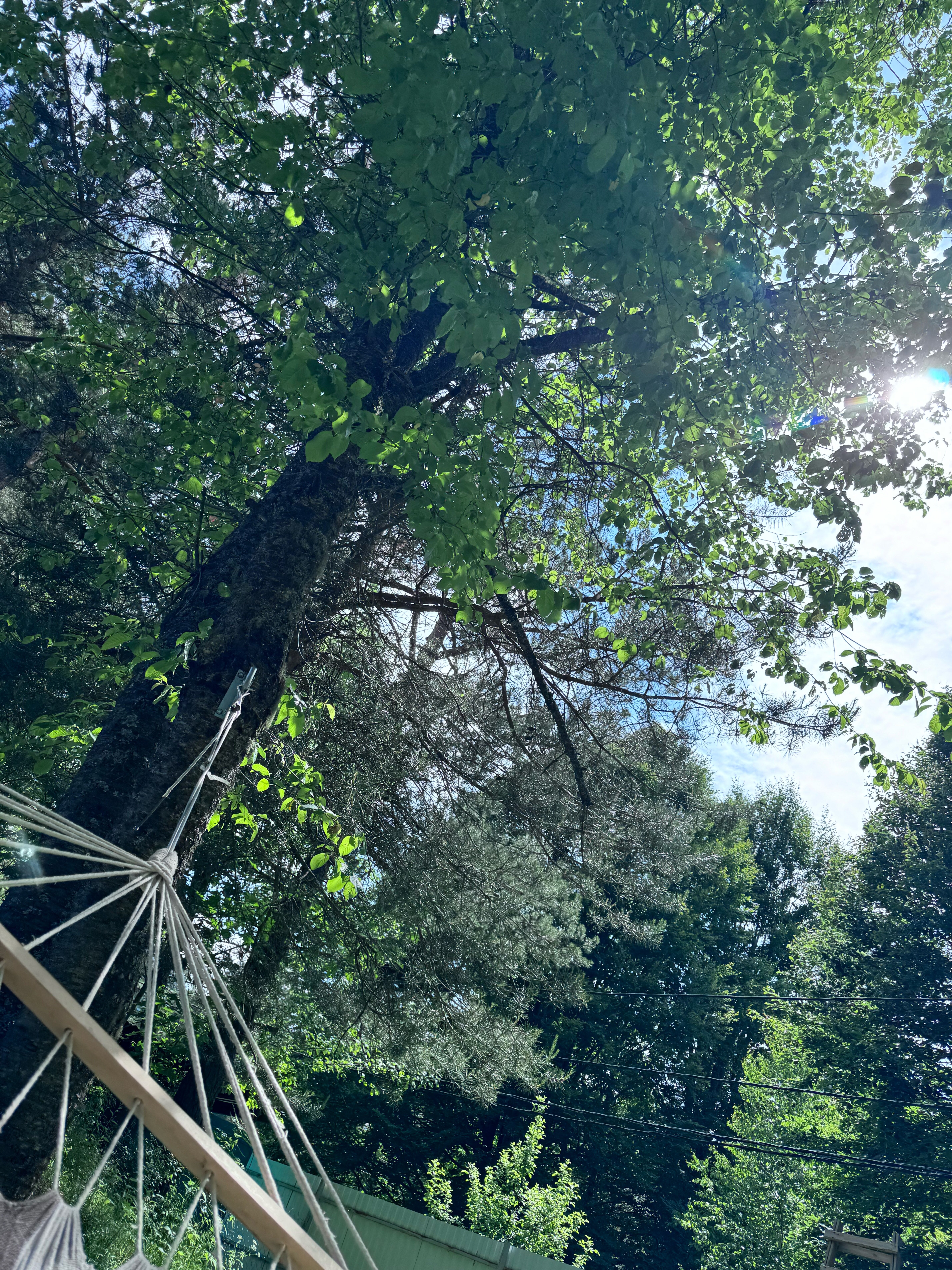 Фото Сказка Архыза