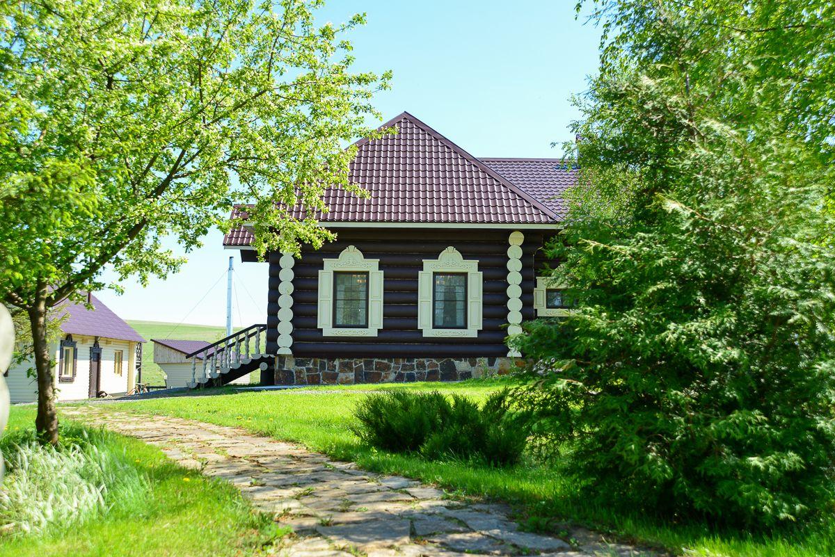 Фото Калина красная