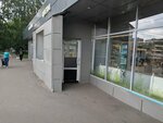 Цветы (Tashkentskaya Street, 31), floristeria