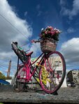 ВелоПрофи (Kuybysheva Street, 8), bicycle shop