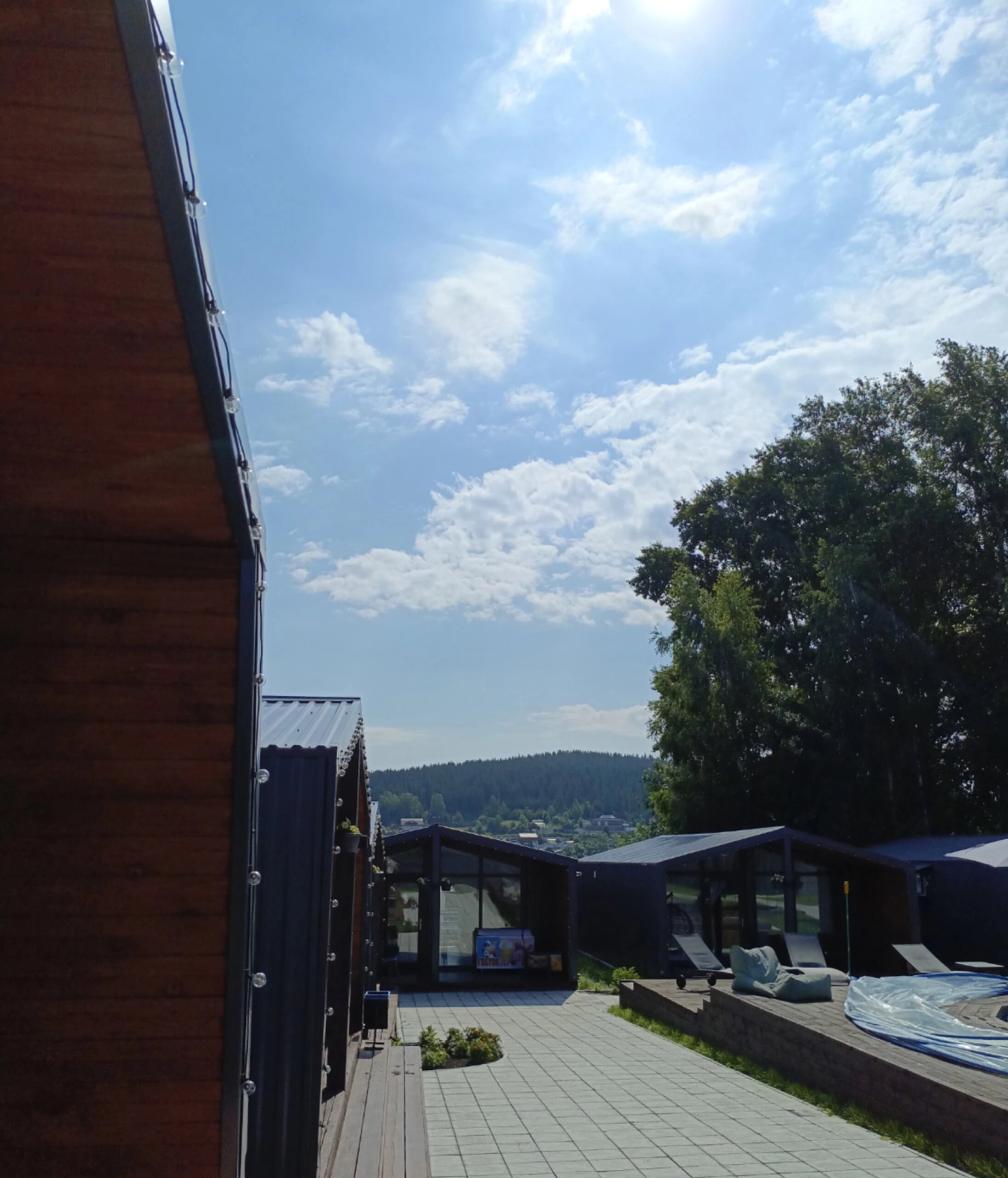 Фото Аура тополей