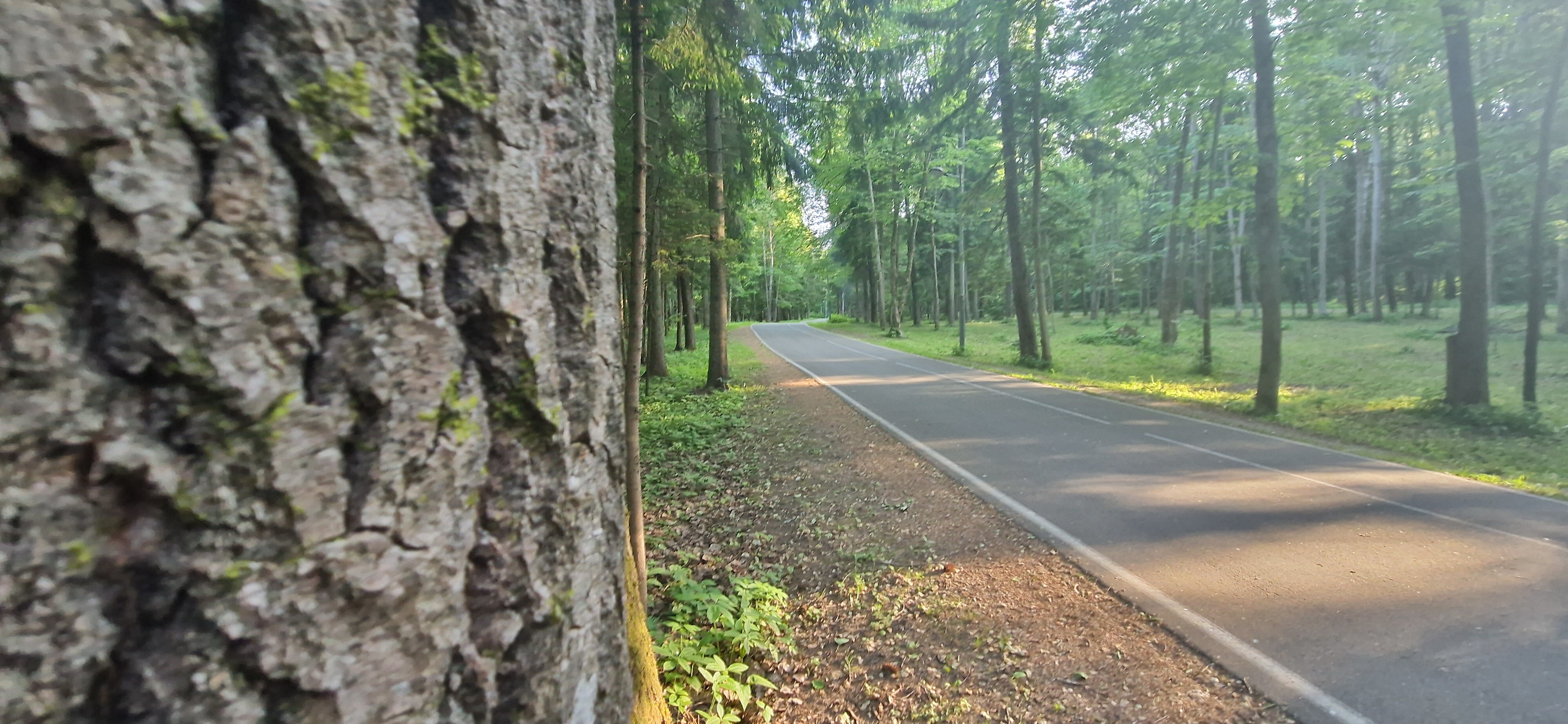 Фото Дом в Головино