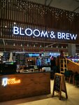 Bloom&Brew (ulitsa Professora Baranova, 1), coffee to go