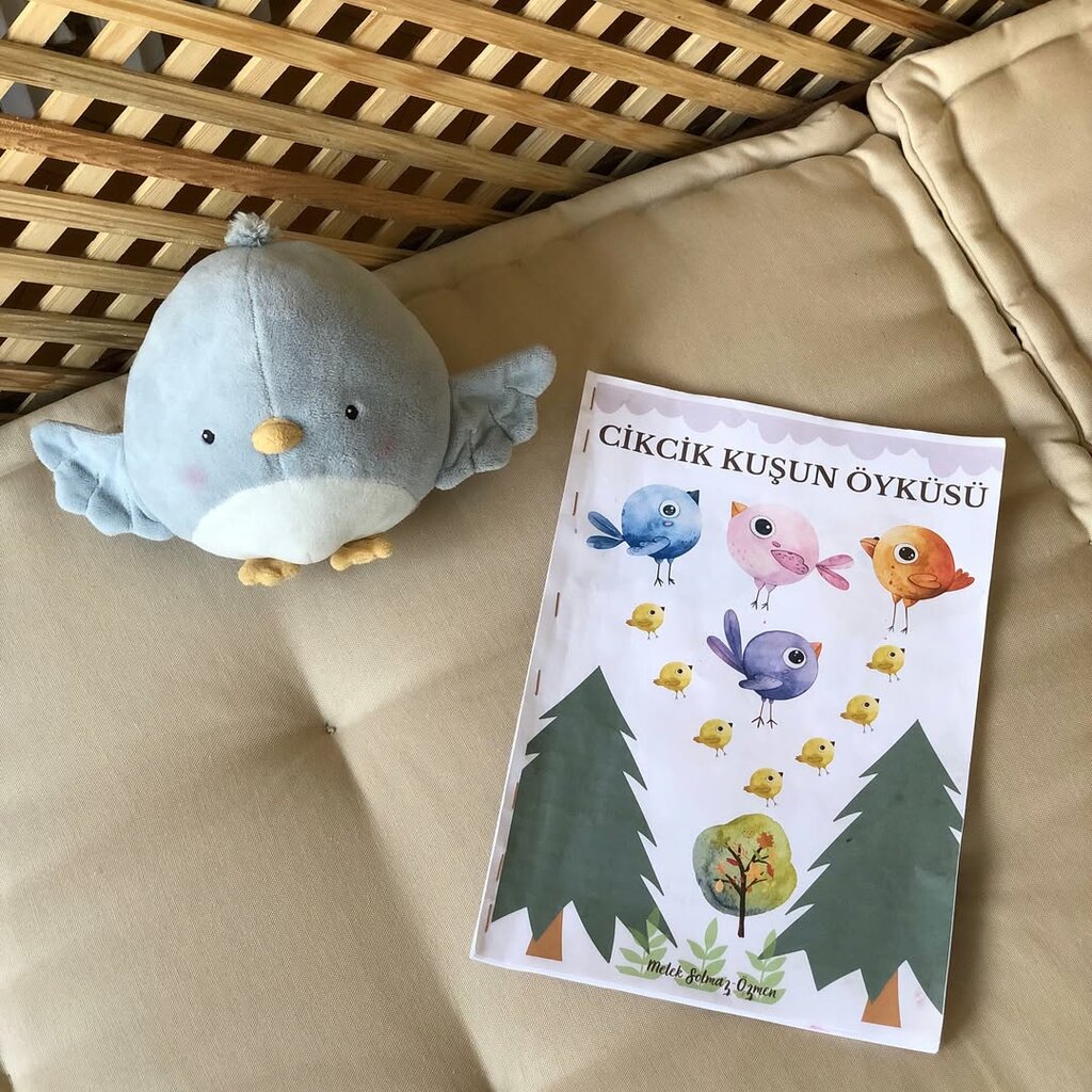 Psychological counseling Moksha Child, Ankara, photo