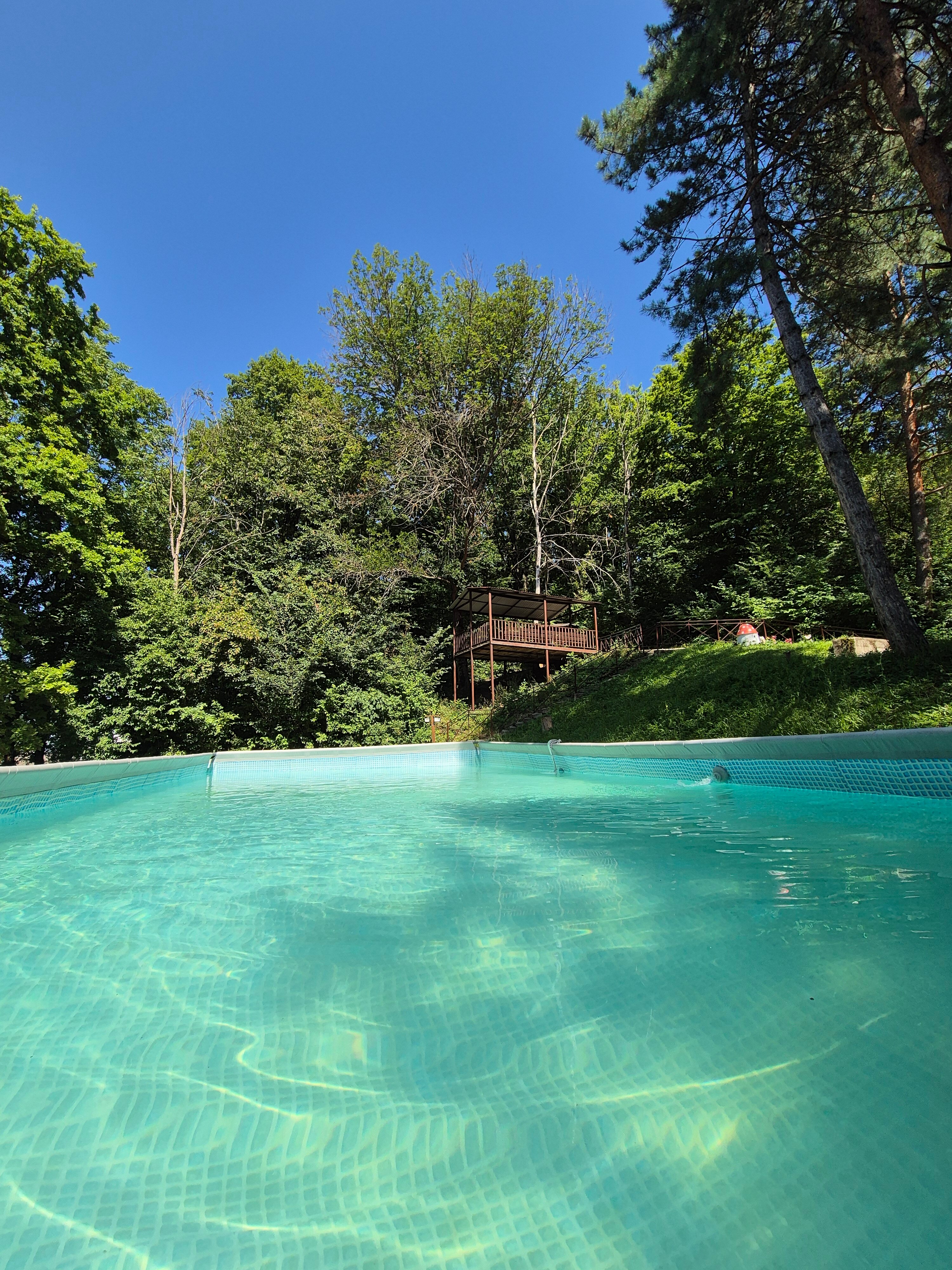 Фото Берёзка