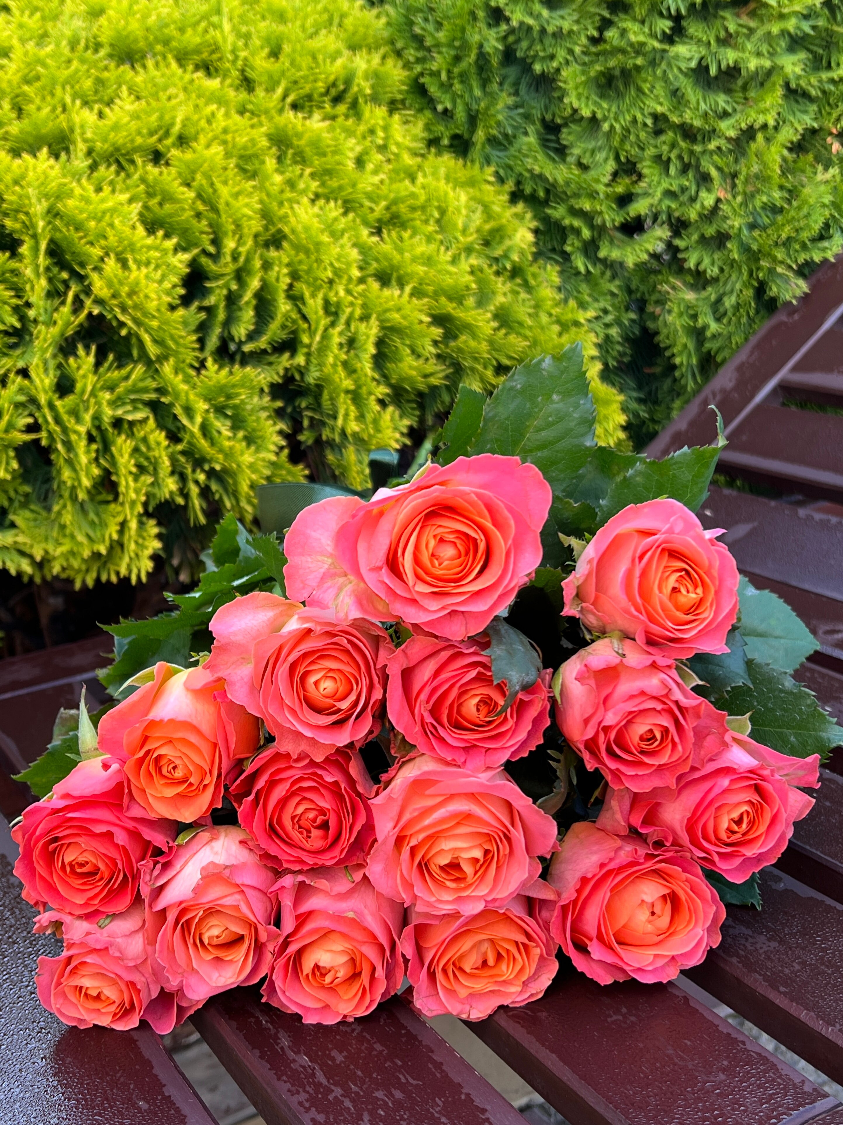 Фото ЛетОтель