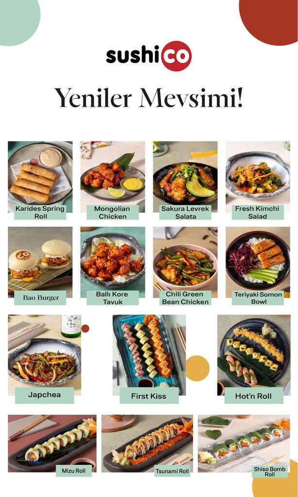 Sushi bar SushiCo Bahcesehir, Istanbul, photo