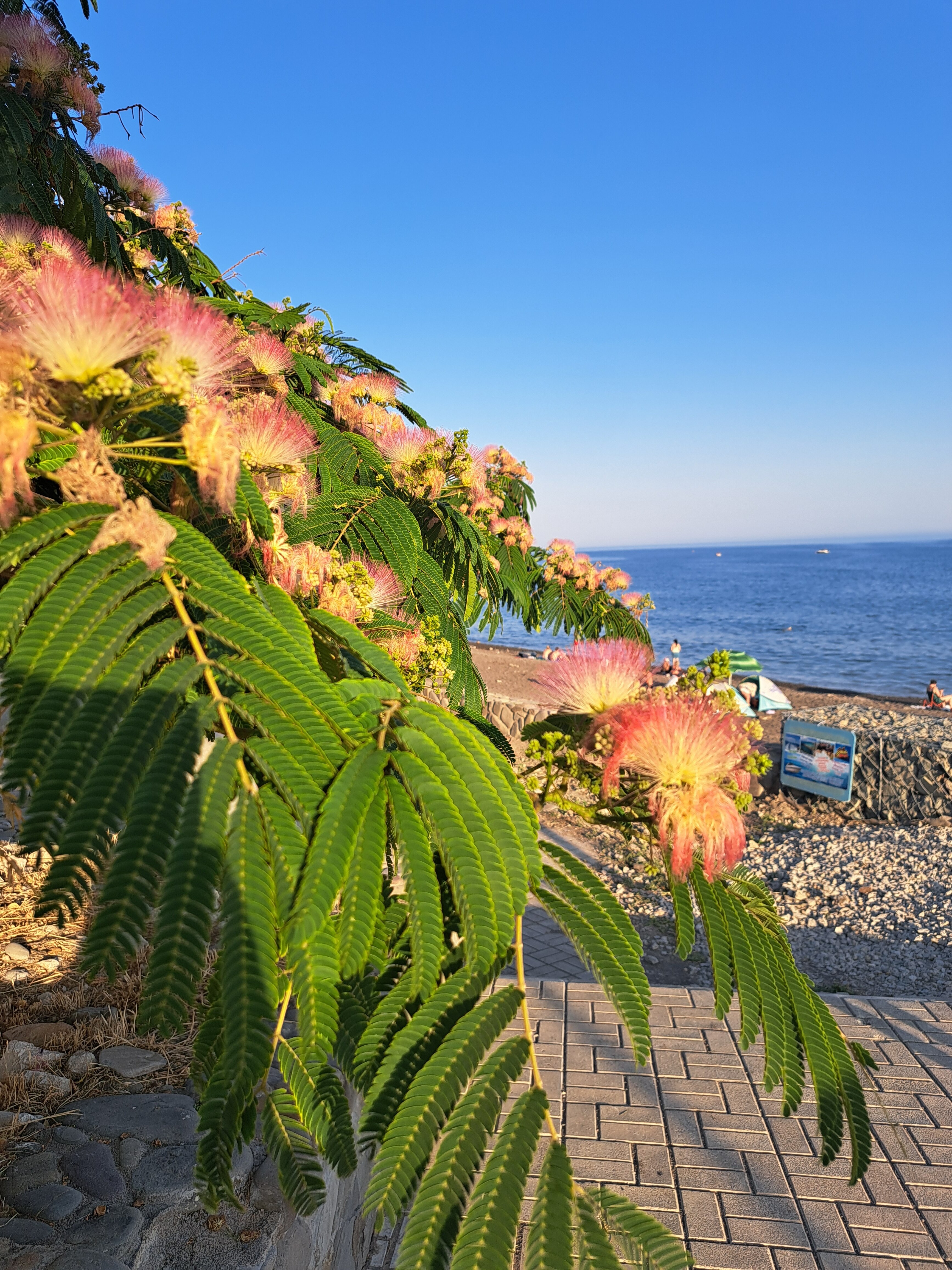 Фото Солнечный