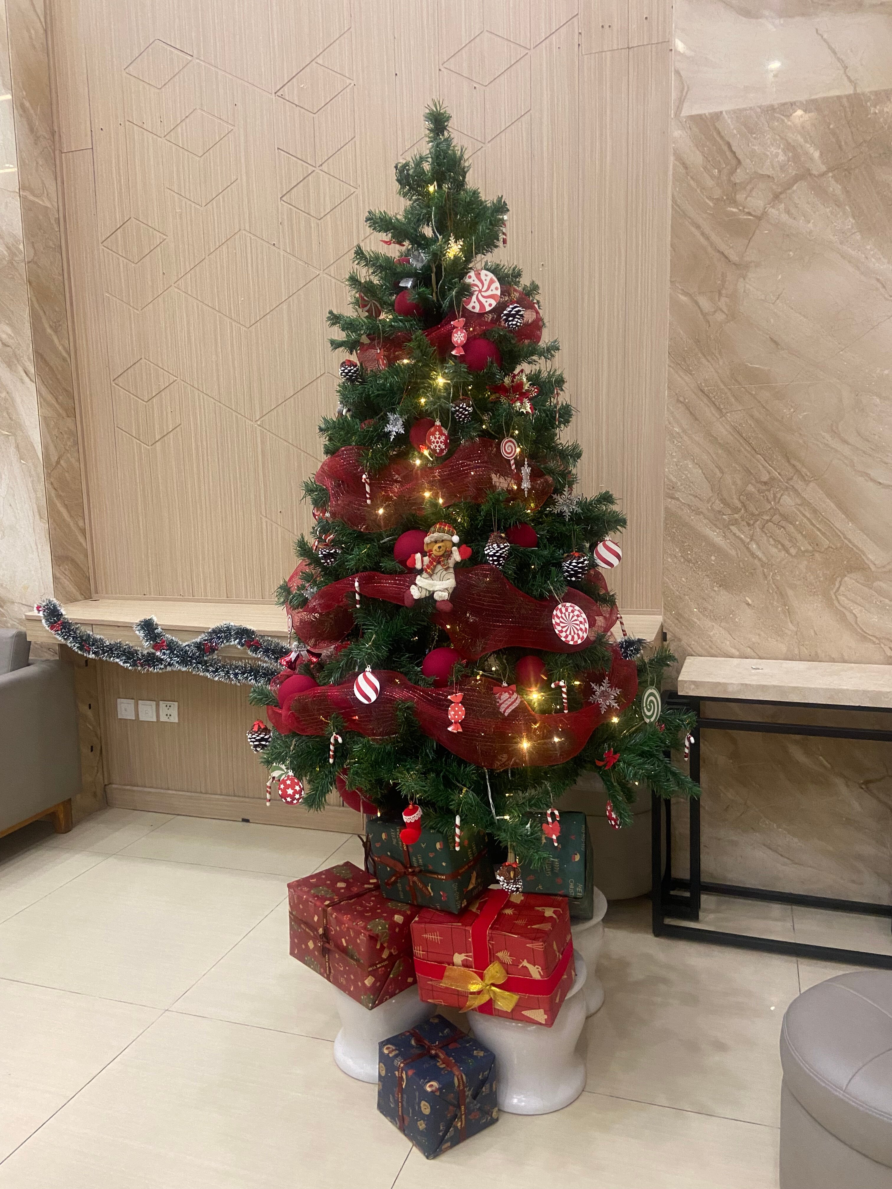 Фото ELite Hotel Nha Trang