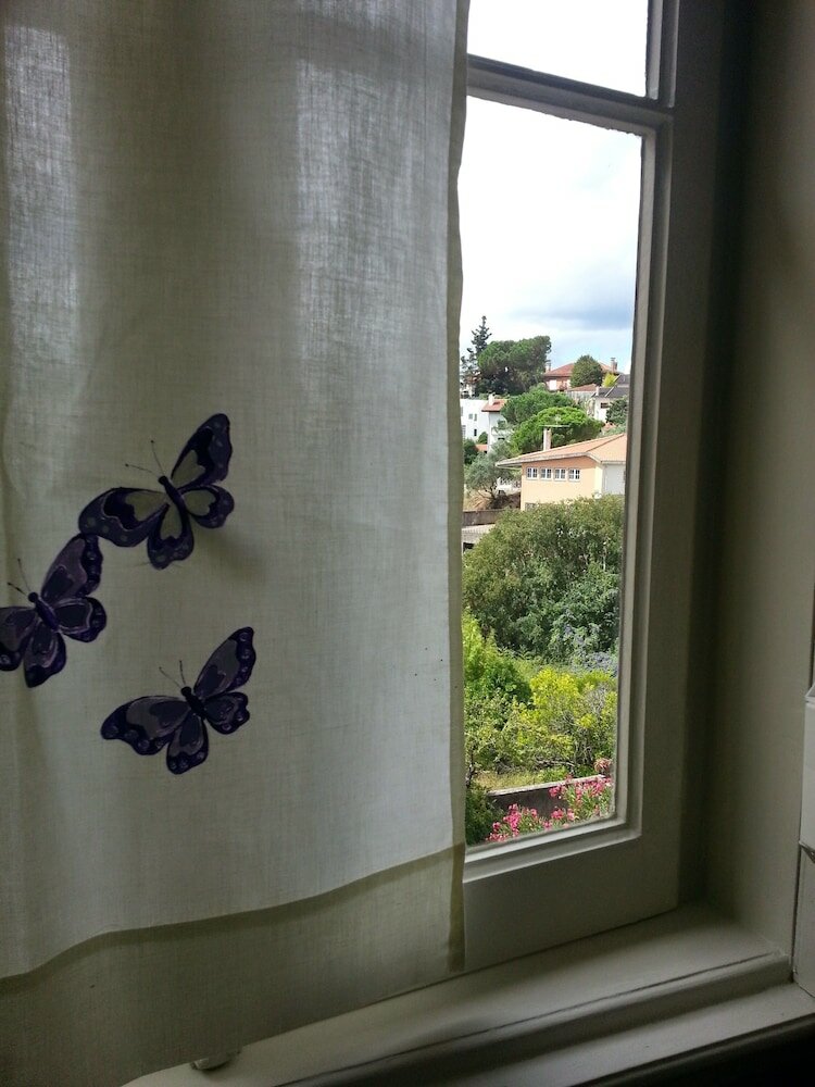 Фото Csi Coimbra Club & Guest House