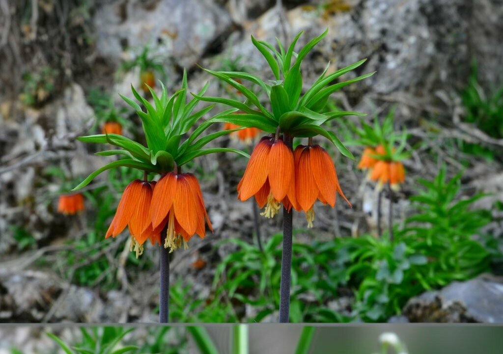 Computer store Cantek Bilgisayar Vedat Uzun, Malatya, photo