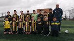 Bezirganbahce Spor Kulubu (İstanbul, Küçükçekmece, İstasyon Mah., Çiçekli Sok., 2), sports club