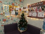 Happy English (Fruktovaya ulitsa, 4), foreign language courses