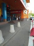 Bethowen (Shirokaya Street, 12Б) ، أحواض السمك