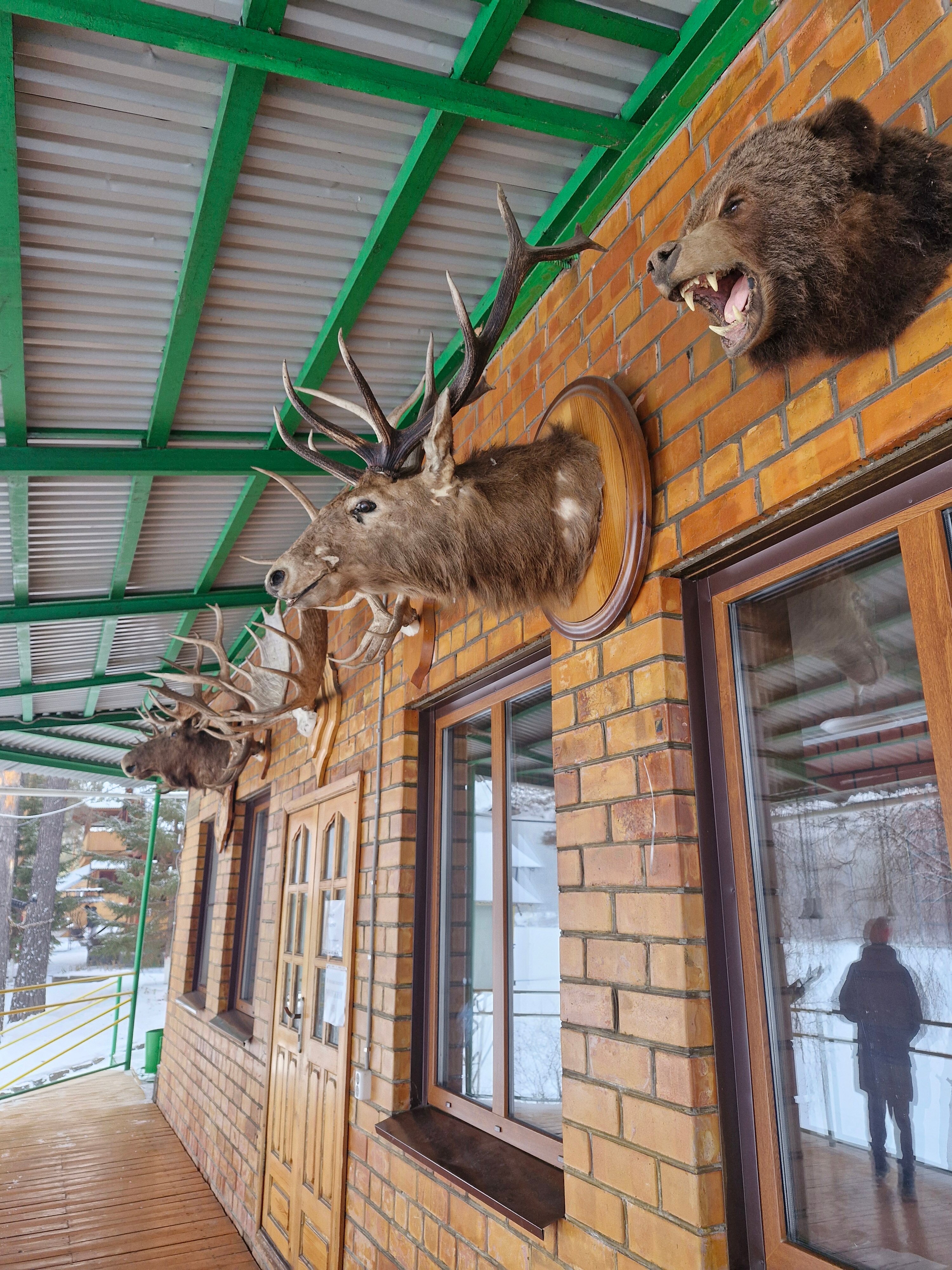 Фото Казачка Ия