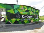 KatServic (derevnya Belyanitsy, Solnechnaya ulitsa, 1), servicio de coches, centro de reparación de automóviles