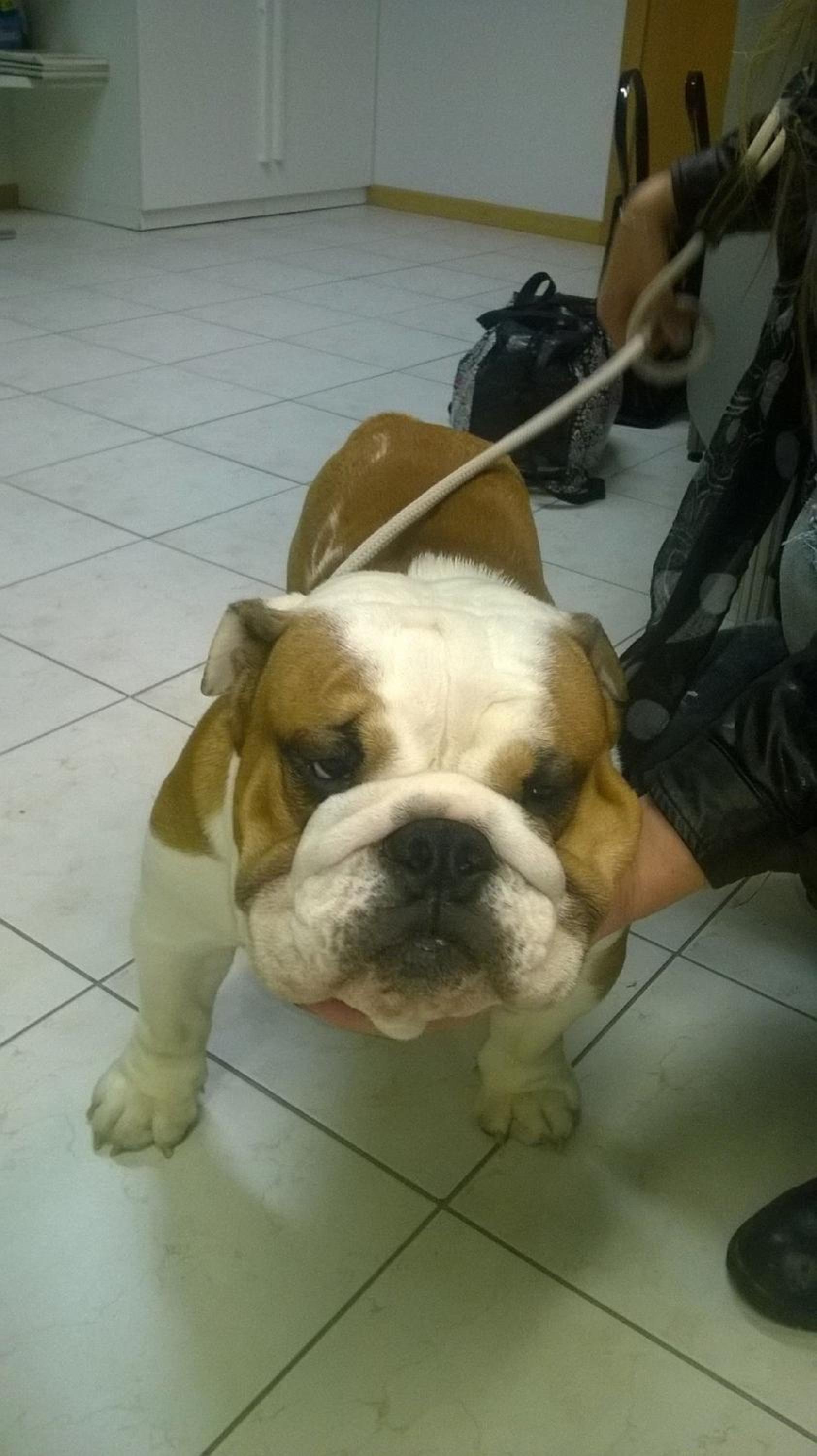 Фото Апарт-Отель Residence Le Corniole