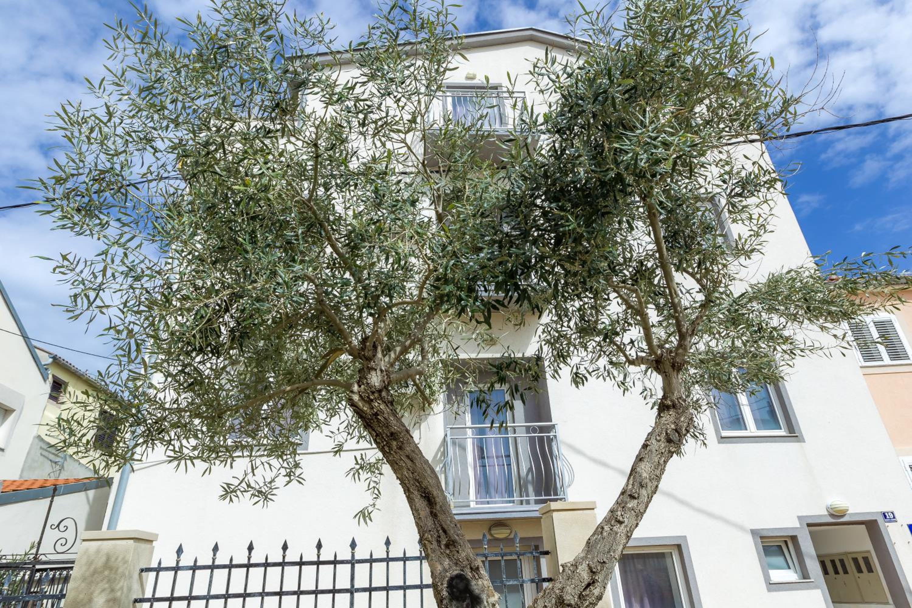 Фото Apartments in City Center Ventus