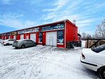 Steklo-car (Sibiryakov-Gvardeytsev Street, 47к8), vidrio de automóvil