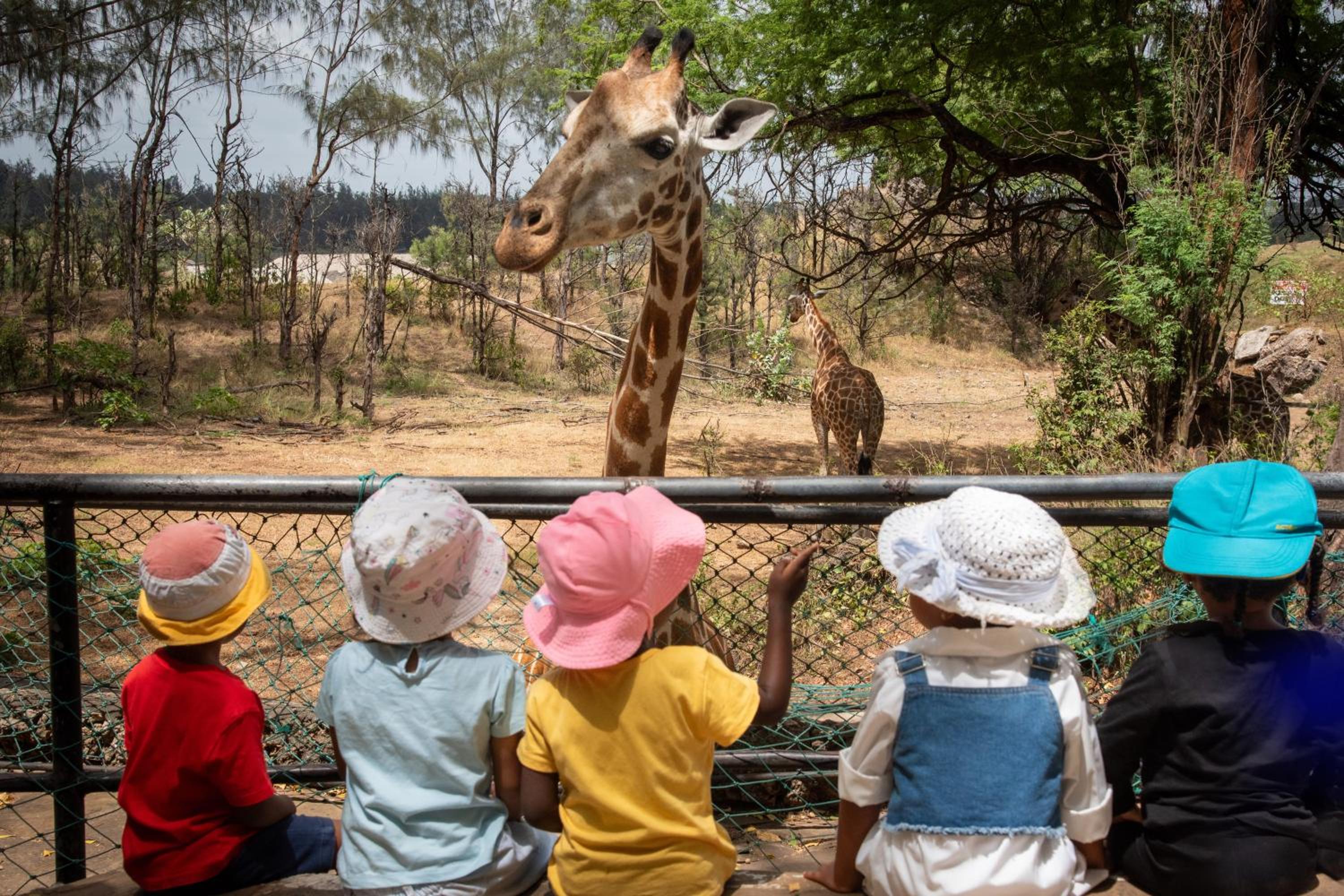 Фото Jacyjoka Apartments Nyali