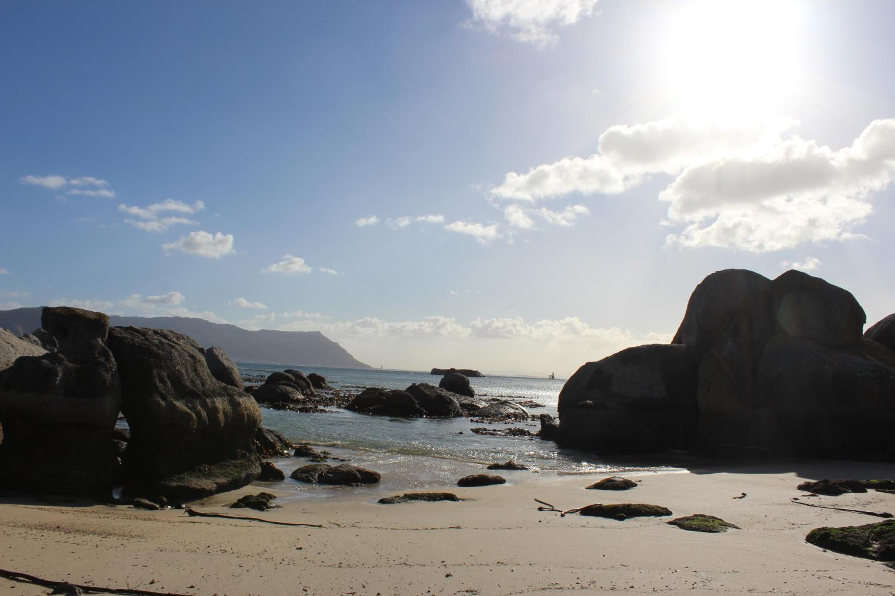 Фото Boulders Beach House
