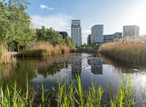 Гостиница Ibis Paris 17 Clichy-Batignolles