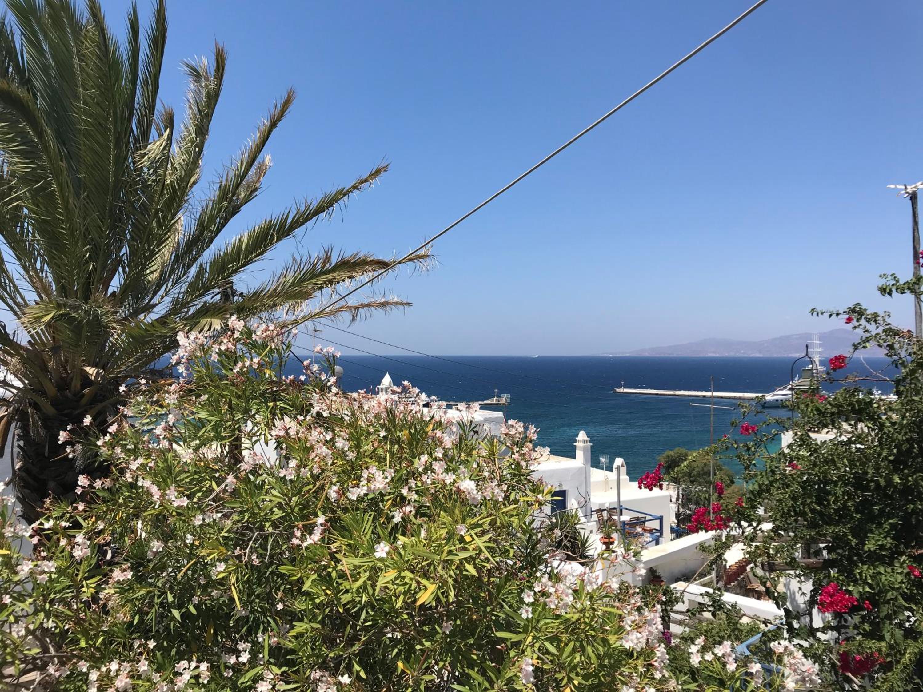 Фото Studios and Suites Rania