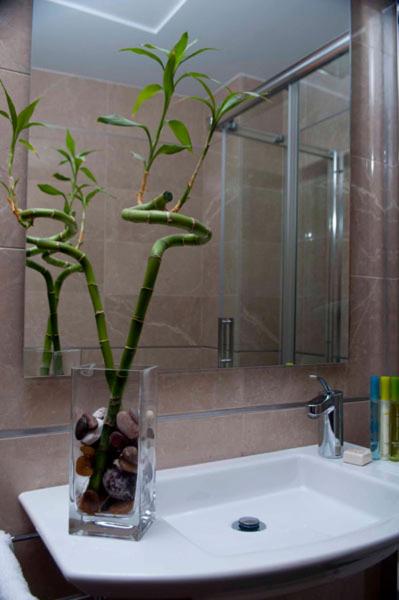 Фото Hotel San Sebastian Hospederia