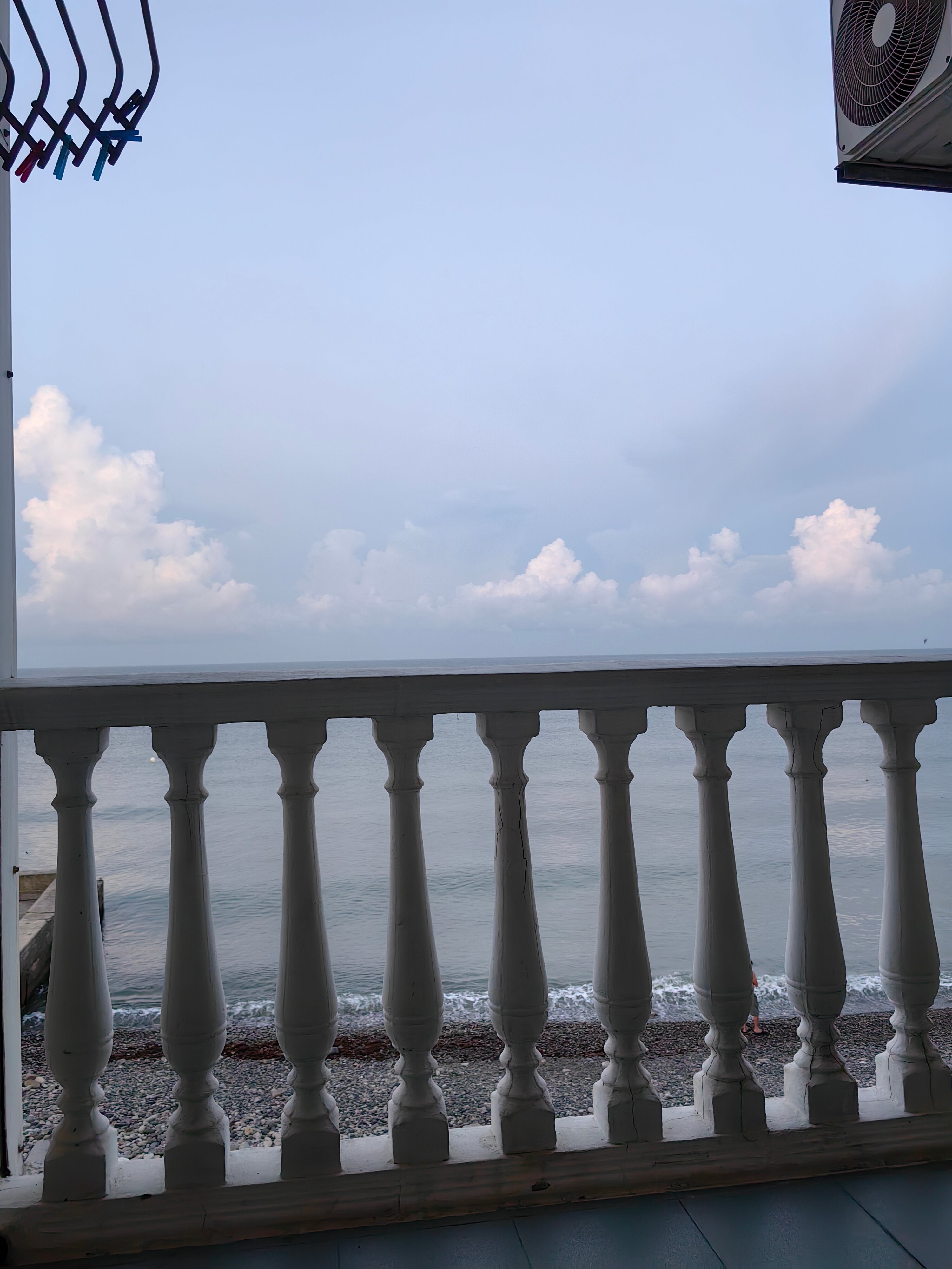 Фото Ариода