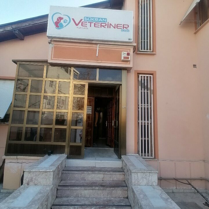 Veterinary clinic Sukran Veterinary Clinic, Konya, photo